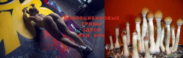 ешки Арсеньев