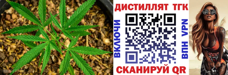 где продают наркотики  Ивантеевка  ТГК гашишное масло 